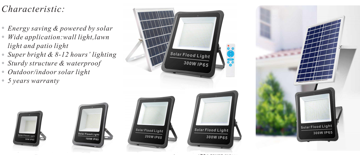 FL 27 feature picture